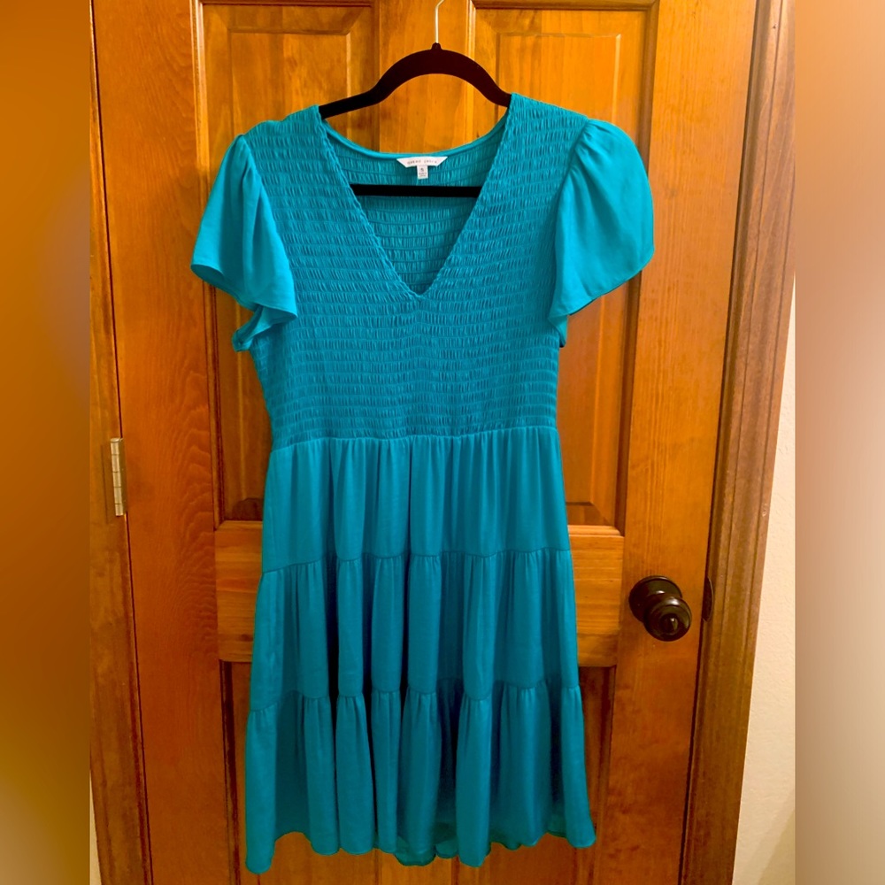 Naked Zebra ordered from Vici teal dress